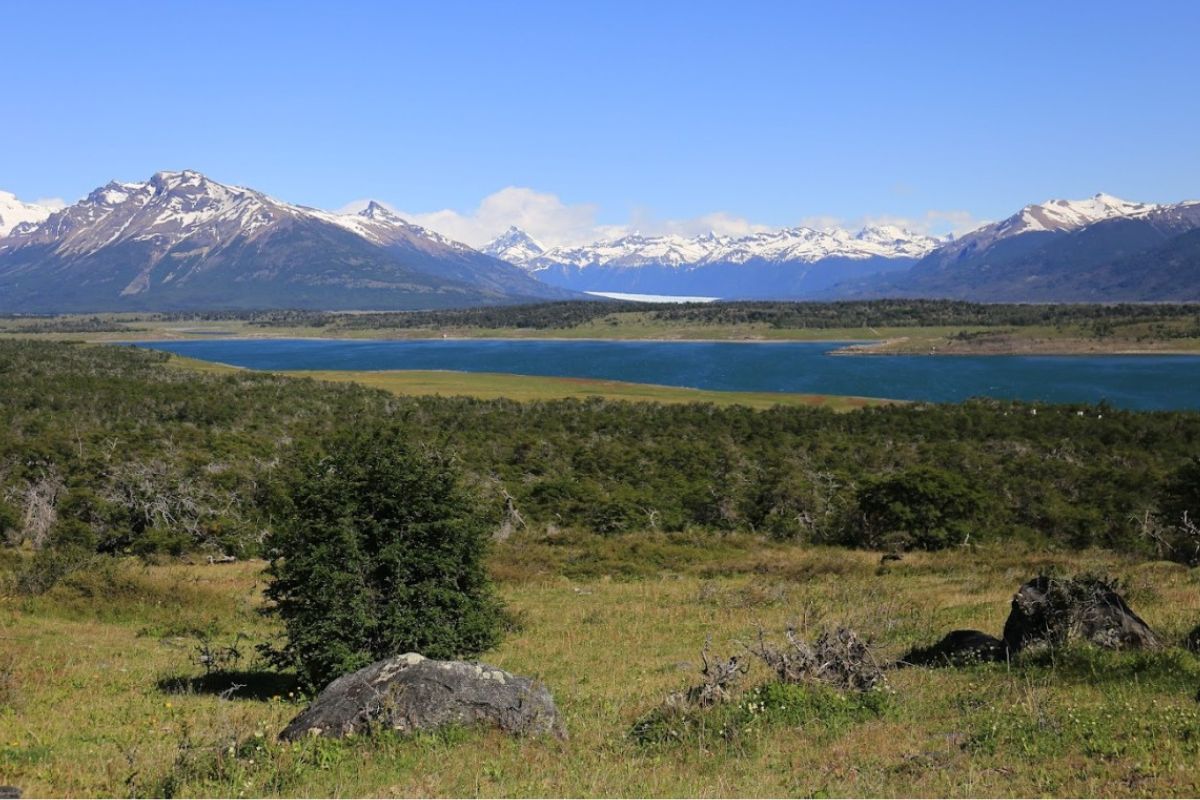 Lago Roca trek, paisajes y sabores